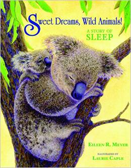 Sweet Dreams, Wild Animals!: A Story of Sleep