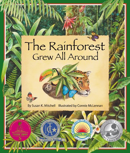 The rainforest grew all around