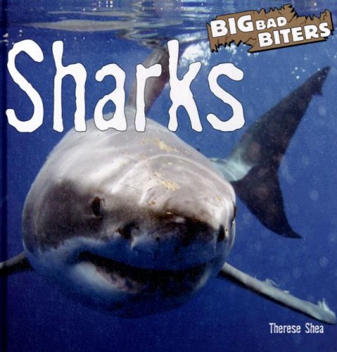 SHARKS -LIB