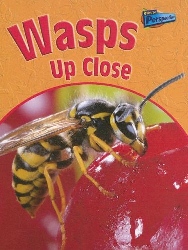 Wasps Up Close
