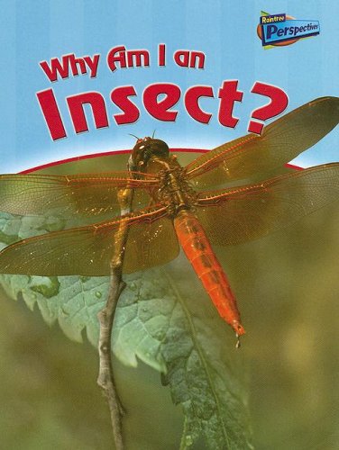 Why Am I an Insect?