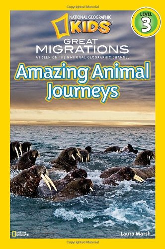 Amazing Animal Journeys Butterflies Elephants Whales