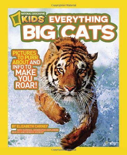 Everything Big Cats