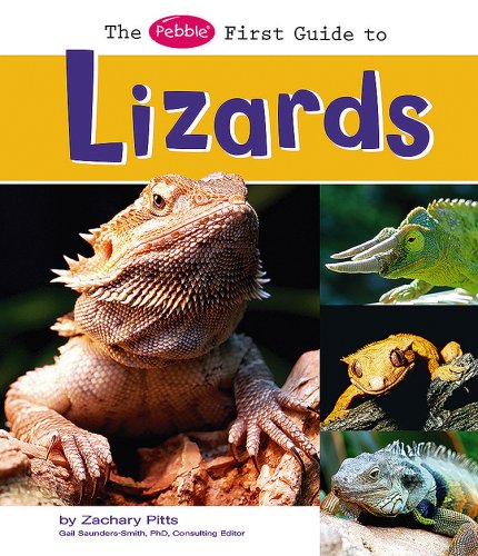 The Pebble First Guide to Lizards