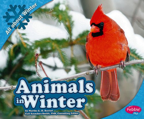 Animals in Winter