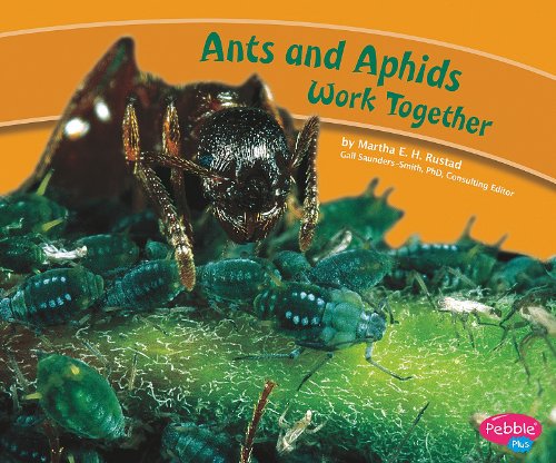 Ants and Aphids Work Together Clown Fish and Sea Anemones Work Together Moray Eels and Cleaner Shrimp Work Together Zebras and Oxpeckers Work Together