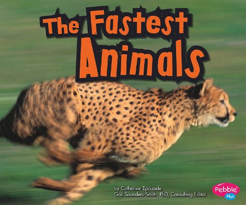 The Fastest Animals The Slowest Animals The Strongest Animals The Creepiest Animals The Most Dangerous Animals The Stinkiest Animals