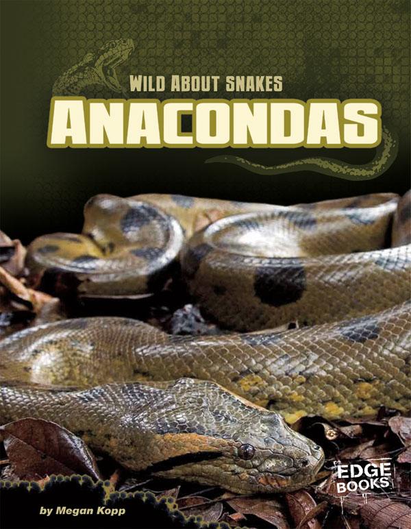 Anacondas Cobras Garter Snakes Rattlesnakes