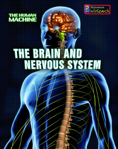 The Brain and Nervous System