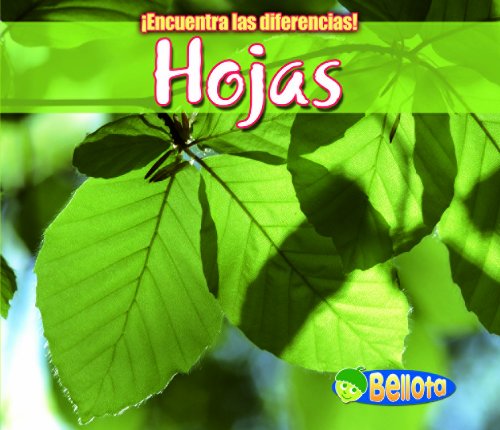 Hojas