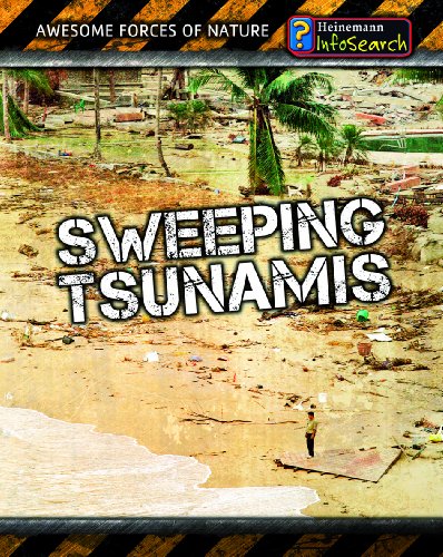 SWEEPING TSUNAMIS REV/E