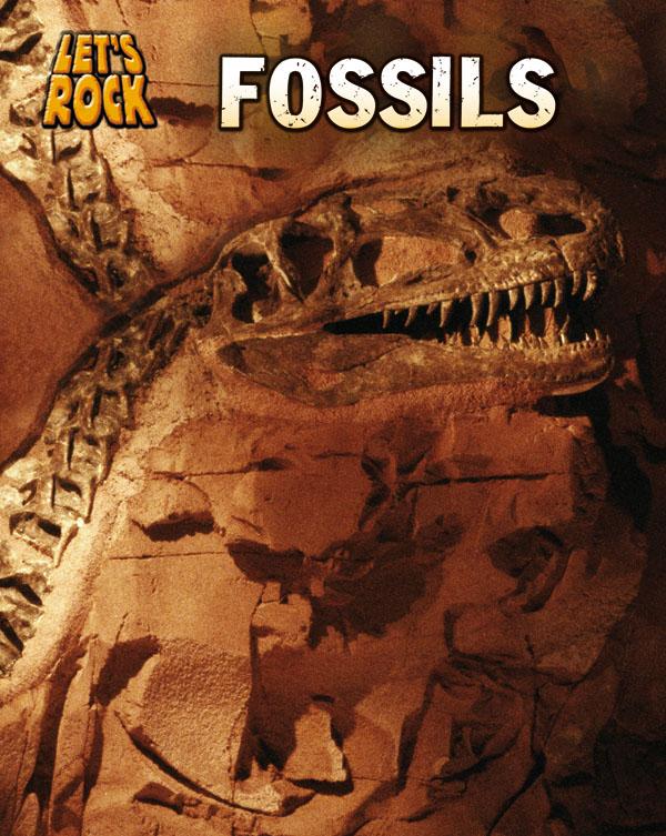 Fossils