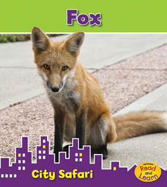 Fox: City Safari