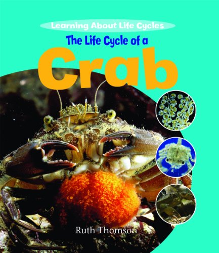 The Life Cycle of a Crab (Learning About Life Cycles)