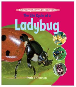 The Life Cycle of a Ladybug (Learning About Life Cycles)