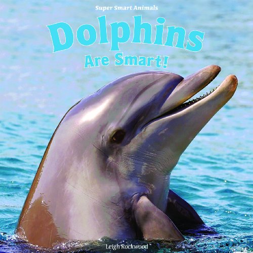 DOLPHINS ARE SMART