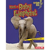 Meet a Baby Elephant