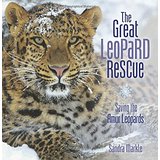 The Great Leopard Rescue: Saving the Amur Leopards