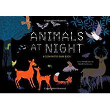 Animals at Night: A Glow-in-the-Dark Book