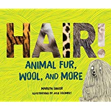 Hair!: Animal Fur, Wool, and More