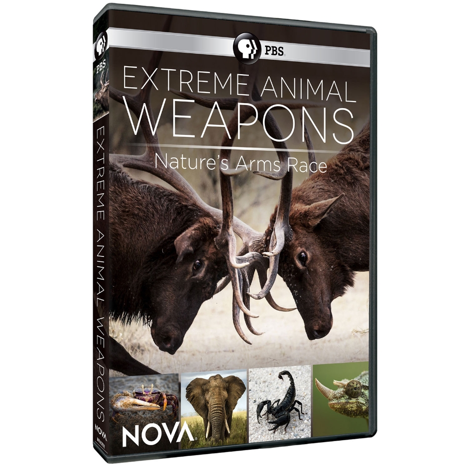 Extreme Animal Weapons: Nature's Arms Race