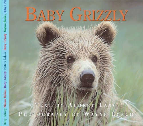 Baby Grizzly Bear (Nature Babies)