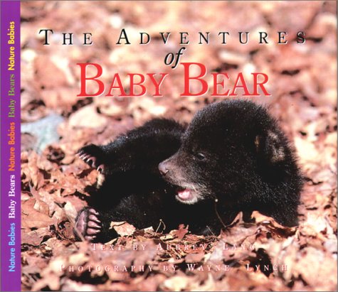 The Adventures of Baby Bear (Nature Babies)