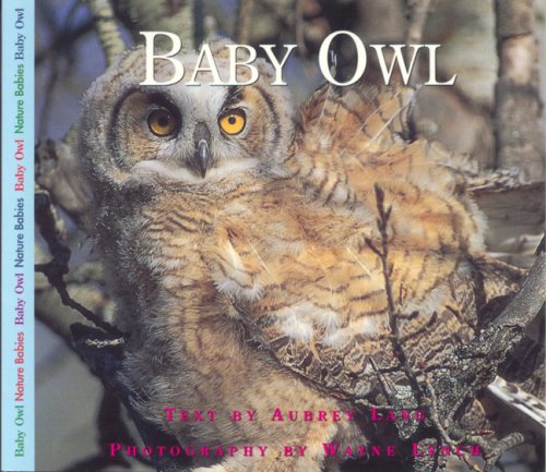 Baby Owl (Nature Babies)