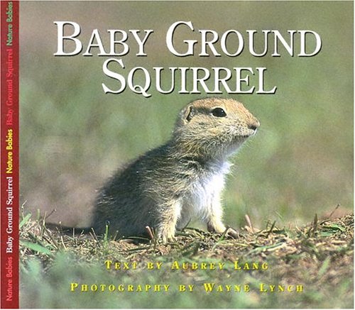 Baby Ground Squirrel (Nature Babies)
