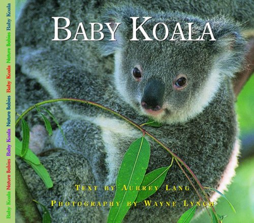 Baby Koala (Nature Babies)
