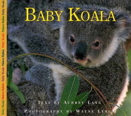 Baby Koala (Nature Babies)