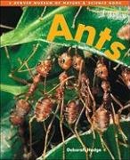 Ants (Denver Museum Insect Books)