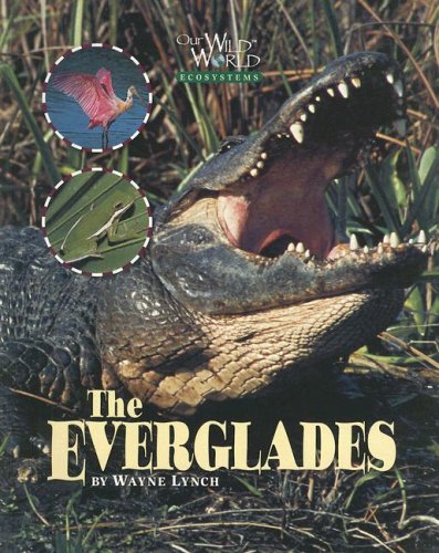 Everglades (Our Wild World)