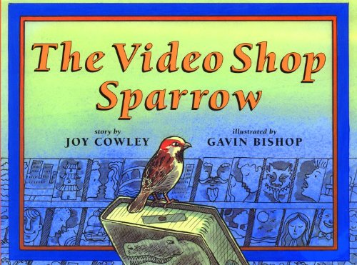 The Video Shop Sparrow