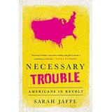 Necessary Trouble: Americans in Revolt