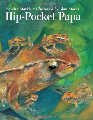Hip Pocket Papa