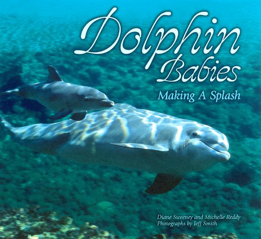 Dolphin Babies