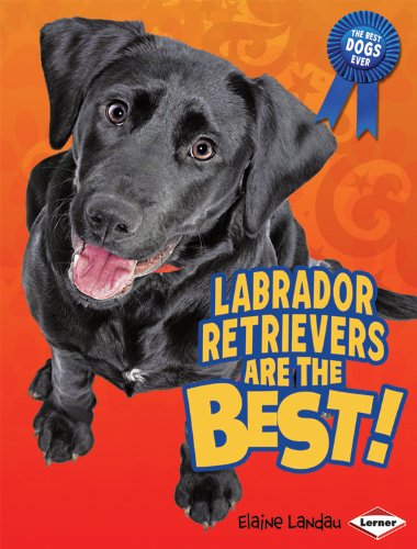 Labrador Retrievers Are the Best!