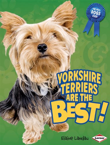 Yorkshire Terriers Are the Best!