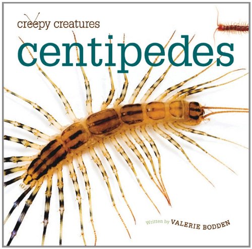 Centipedes Crickets Mantises Scorpions Spiders. illus Worms