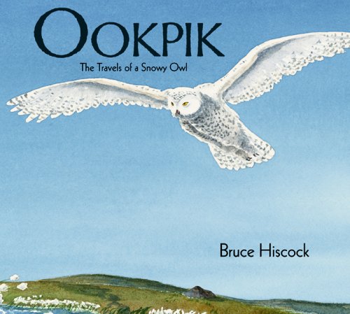 Ookpik