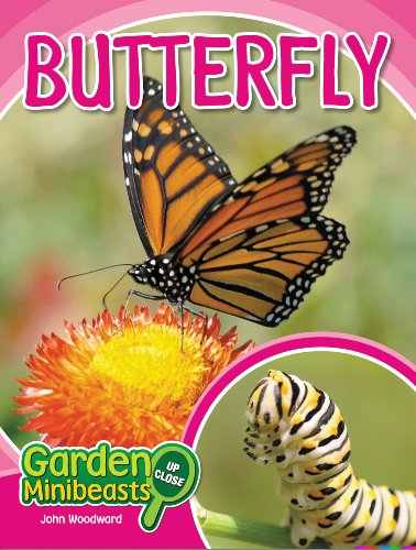 Butterfly (Garden Minibeasts Up Close)