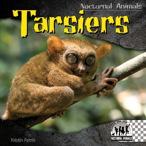 Tarsiers