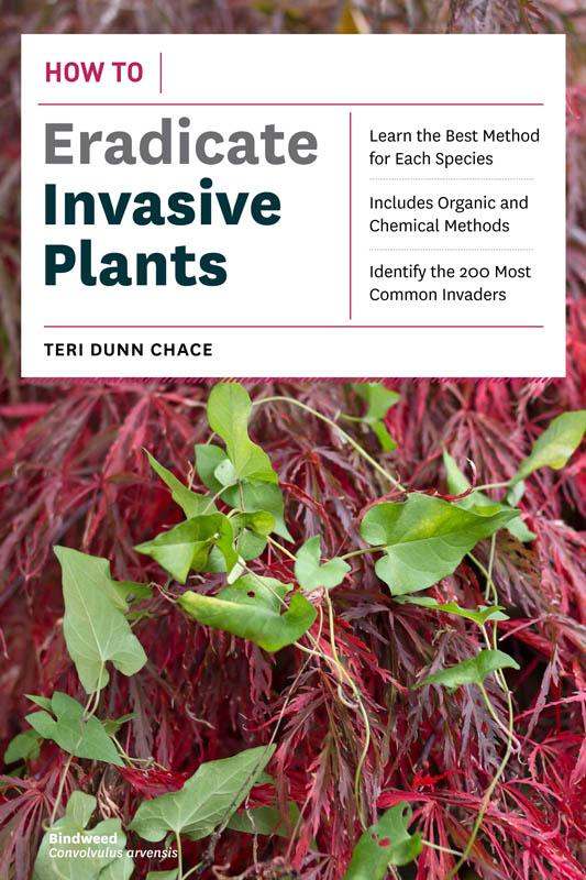 How To Eradicate Invasive Plants
