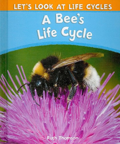 BEES LIFE CYCLE