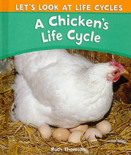 CHICKENS LIFE CYCLE