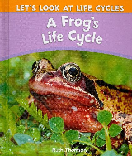 FROGS LIFE CYCLE