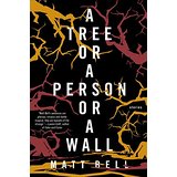 A Tree or a Person or a Wall