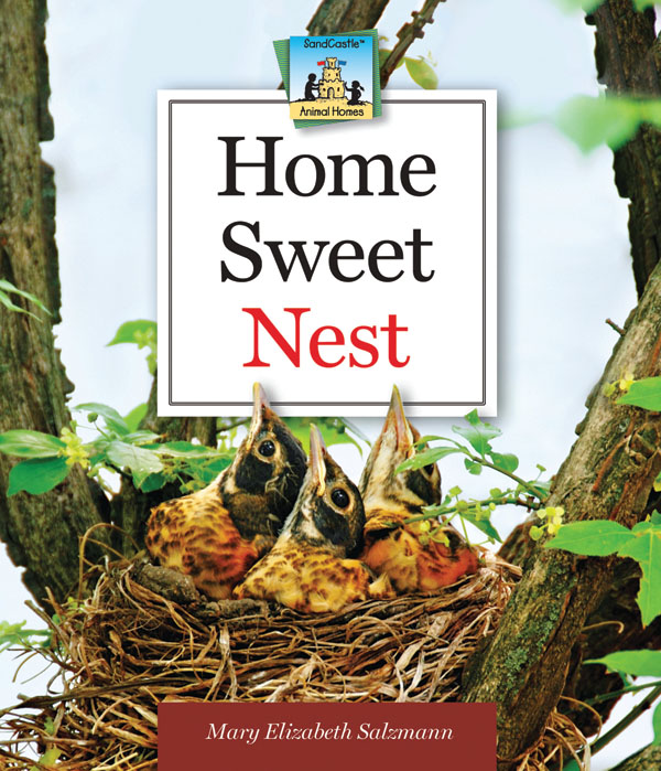 Home Sweet Nest