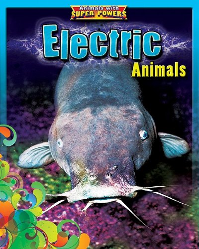 Electric Animals Glow-in-the-Dark Animals See-Through Animals Color-Changing Animals